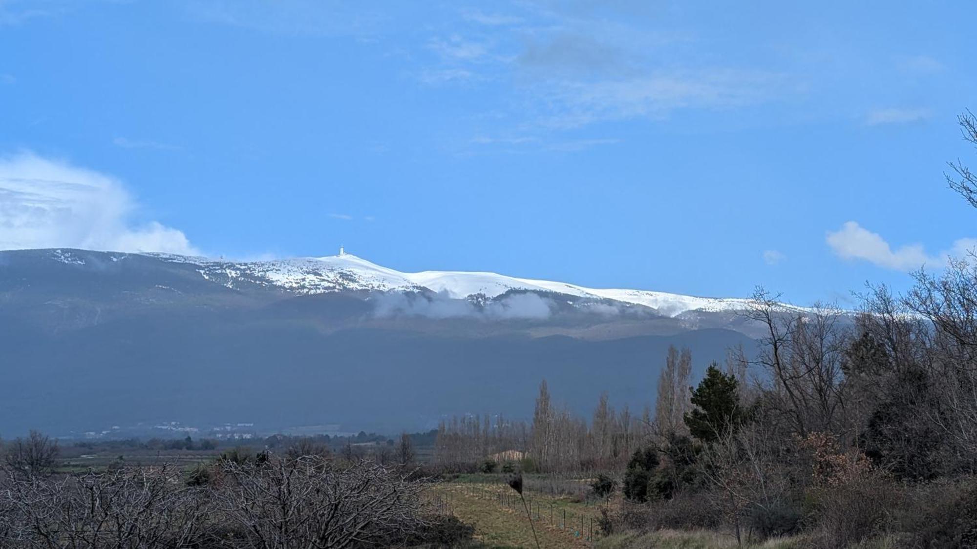 La Carriera, Petite Maison Sud Ventoux, Au Charme Provencal Bédoin Zewnętrze zdjęcie
